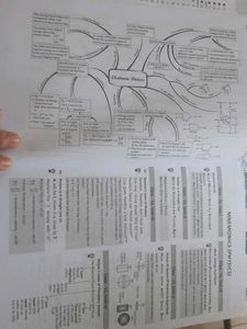 Oswaal NEET (UG) 10 Mock Test Papers