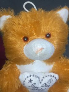 Teddy  Bear 🐻