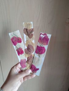 ressed Flower Bookmarks (Set of 3)+ 1 Freebies ✅✅
