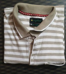 Cottonking Beige Colour Striped Polo Shirt
