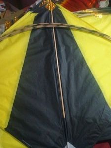 25 Kite