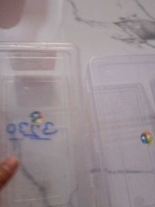 Storage Box