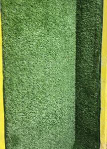 Green Grass May For Wall