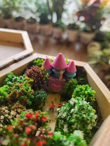 Wooden Box With Miniature World (Handmade)