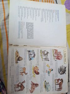 English Conversation + My Word Picture Book