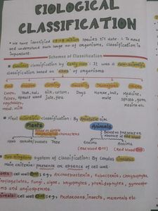 BOTANY MED EASY Notes