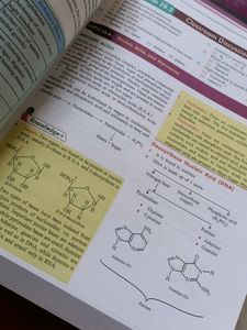 Jee Mains + Advance Books