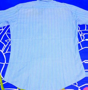 Striped Blue Shirt
