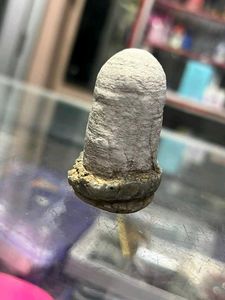 Two pieces of shivling found while digging