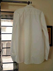 BRAND NEW LACOSTE BEIGE COTTON SHIRT
