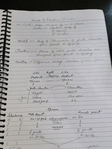 Genetics Biology Notes Allen