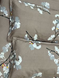 Todays Offer Glace Cotton Double Bedsheet