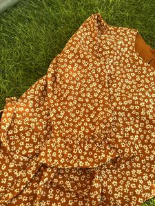 It Is A Brown Dress