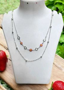 Stainless Steel Chain