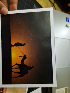 Postcards