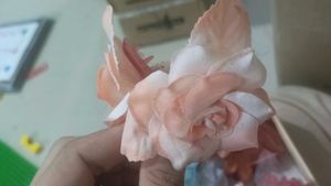 Hair Accessories