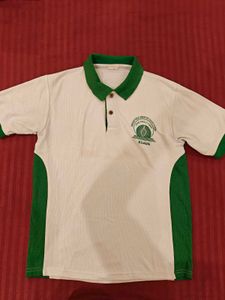 Boys Green Polo Tshirt