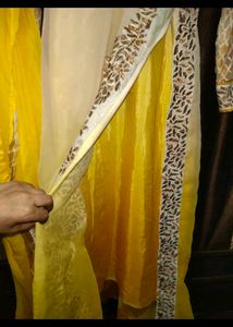 Women Yellow Suit Embroidary Set Party Wear