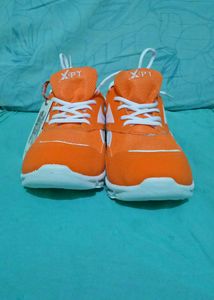 Sports Shoes for Players