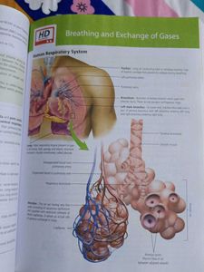 Ncert Fingertip Biology