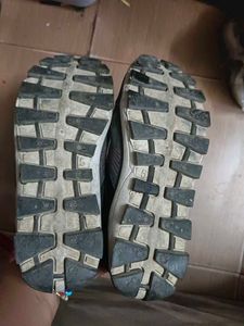 Campus Running Shoes