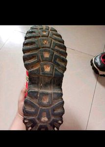 Mens Shoes