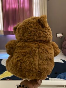 Cute Brown Teddy Bear