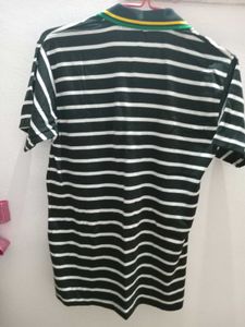 Striped Polo Shirt