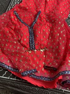 Beautiful Fish Cut Skirt With Full Sleeves Blouse