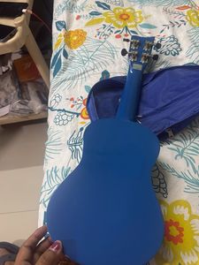 Ashton Ukulele in Case