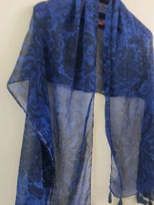 Blue Printed Stole