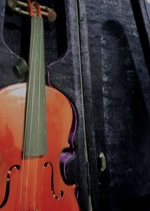 Violin On Offer