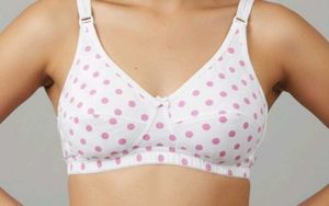 Cotton Comfort Bra Pack Of 2