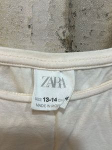 Baby Pink Zara Organza Sleeves Top