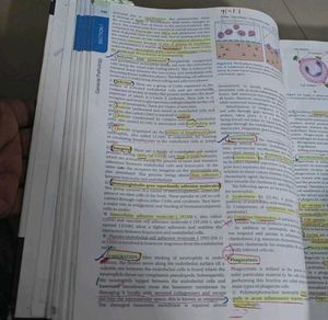 Textbook of Pathology