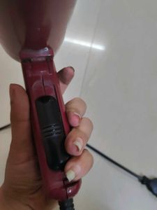 Beauty Crown Parlour Hair Dryer