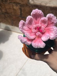 Flower Pot