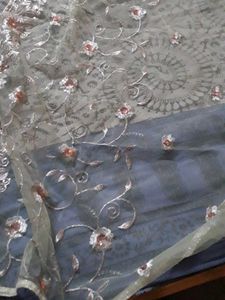 Beautiful Net Saree Without Blouse