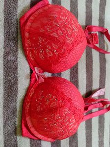 Pink Net Embroidery bra
