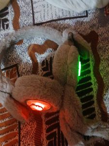 A Rabbit Head Phone Like Band They Cover Our Ear