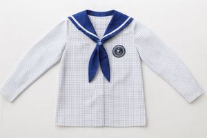 Lucknow Public school top