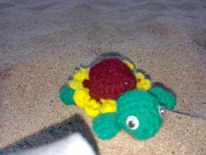 Crochet Turtle