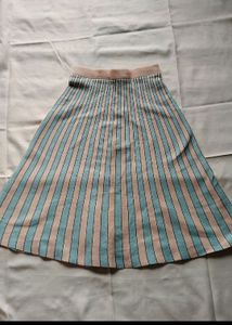 Knee Length Skirt