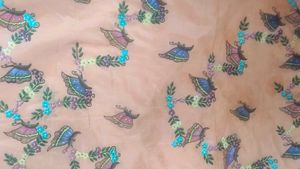 Painting Saree