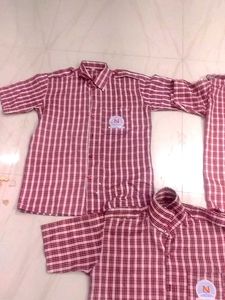 School Shirts Combo