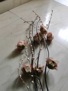 Floral Stem Arrangement