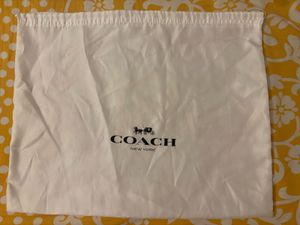 Coach Pure Leather Bag (Authentic)