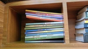 Sayisuthe Kannada Novels