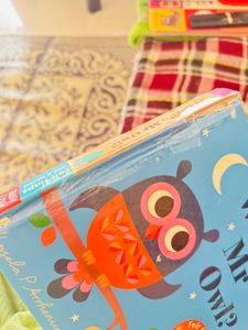 Where is Mr Owl flip Board Book