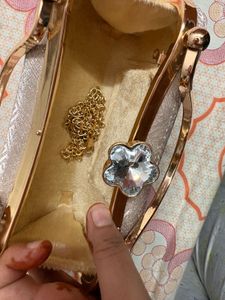 Elegant Clutch